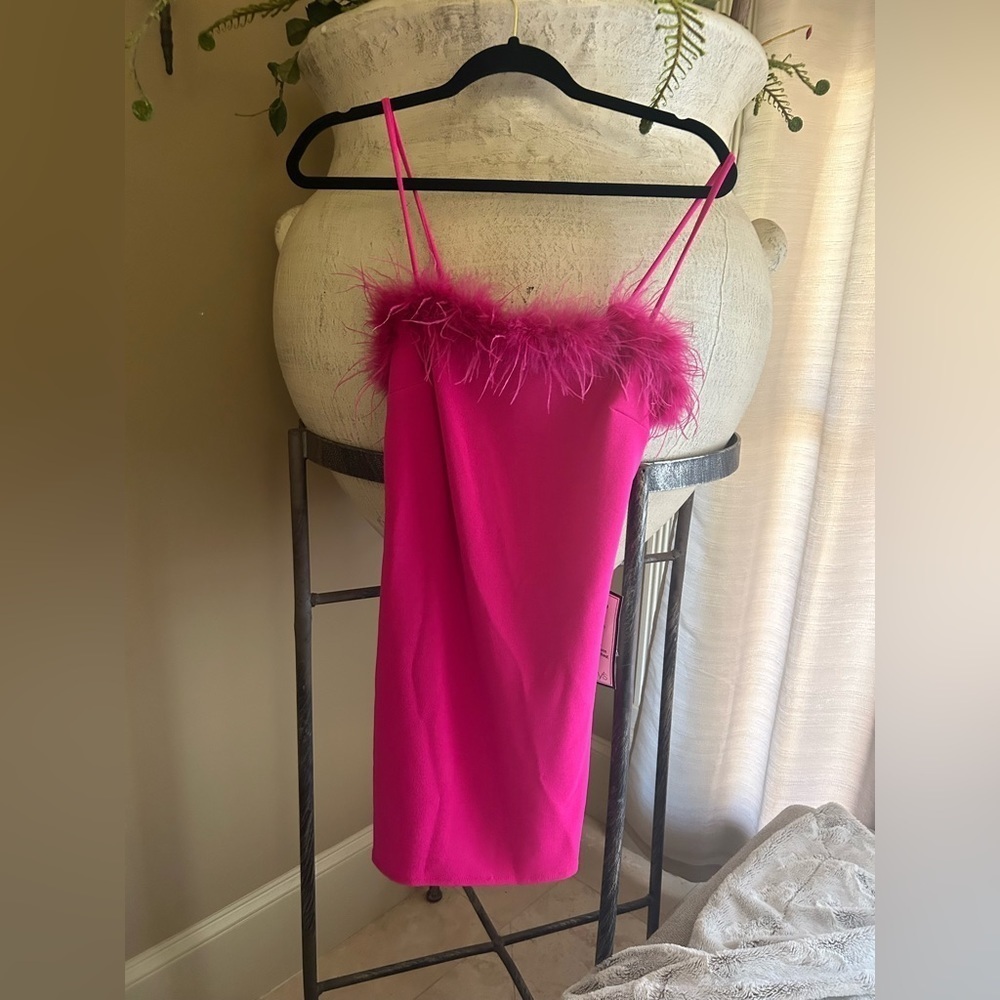 Hot Pink Dress